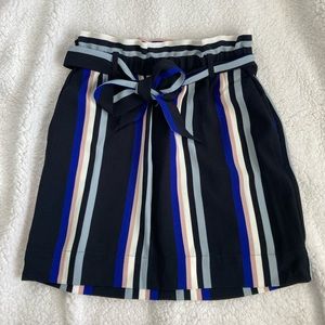 NWT Express Dressy Skirt